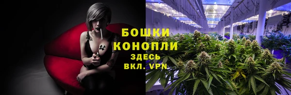 скорость Новодвинск