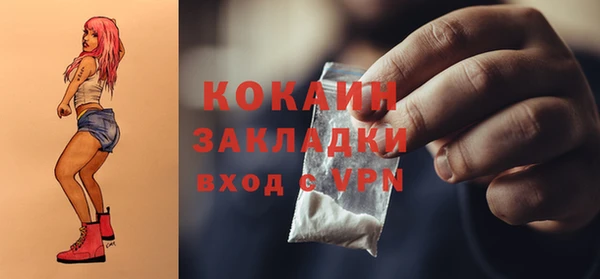 тгк Болотное
