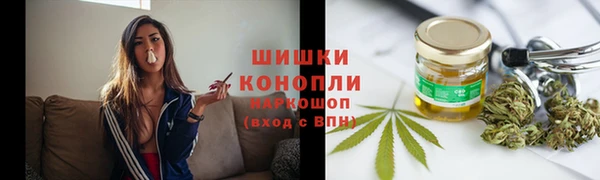 дмт Новозыбков