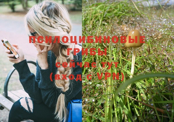 дурь Новокубанск
