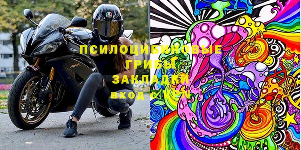 дмт Новозыбков