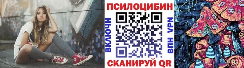продажа наркотиков  Эртиль  Псилоцибиновые грибы Cubensis 